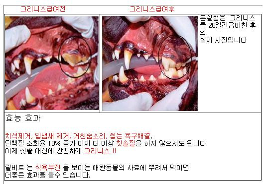 그리니스 이미지