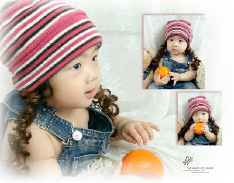 백송이 이미지