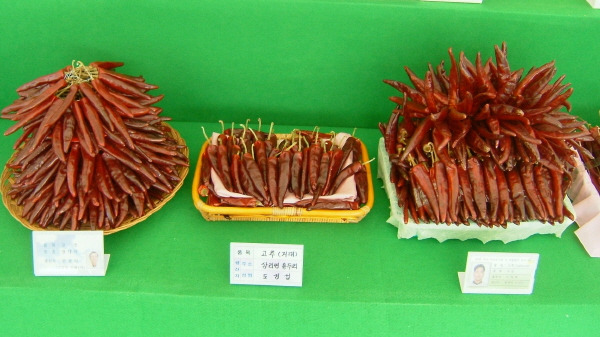 애플밸리 이미지