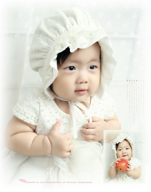 백송이 이미지
