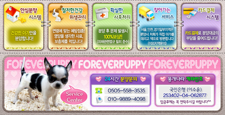 은비네일 이미지