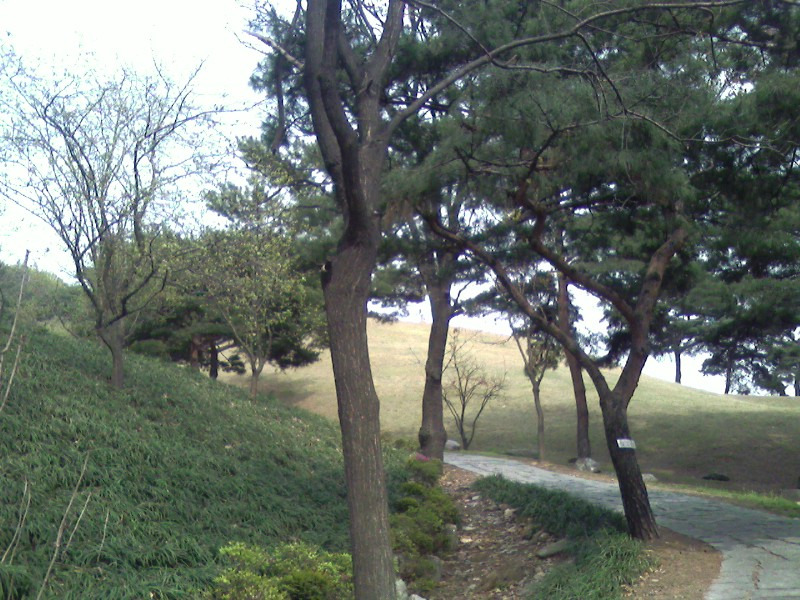 청담사 이미지