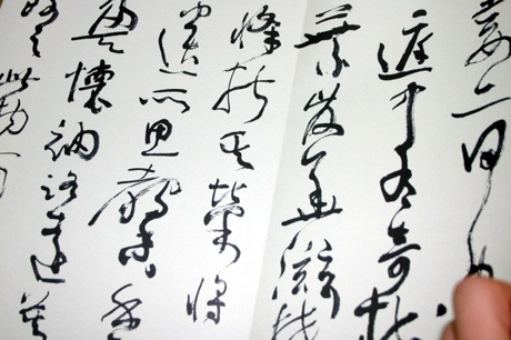 심붕 이미지