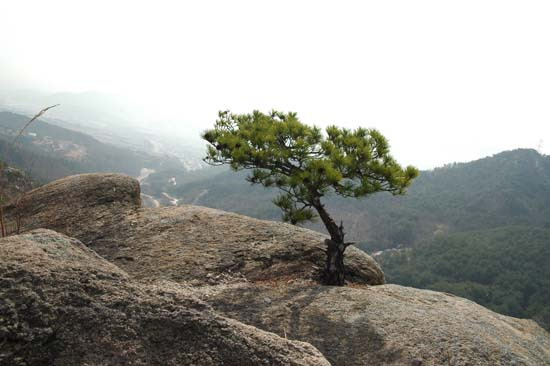 고시레삼겹살 이미지