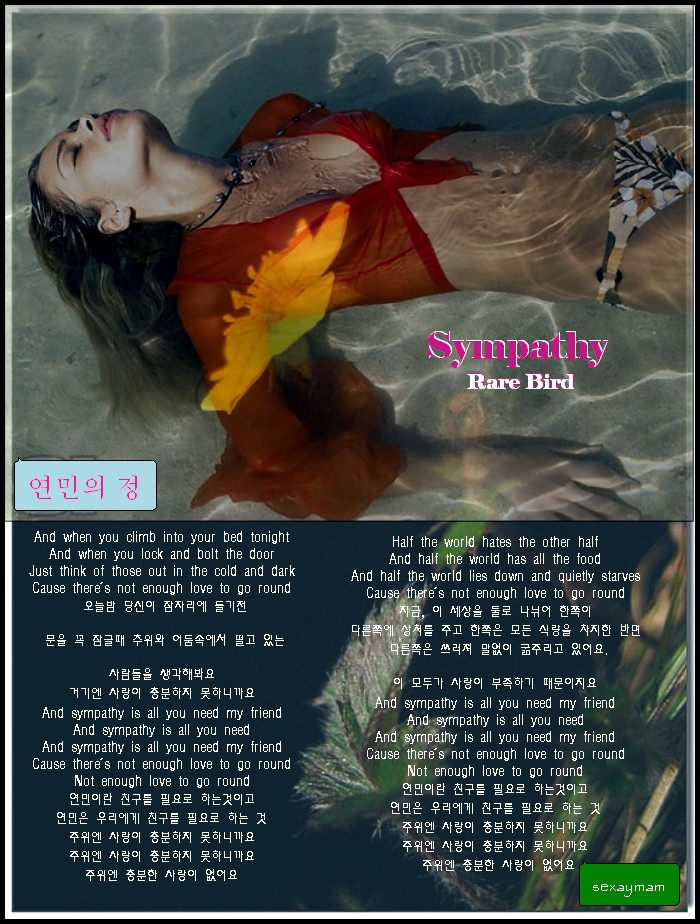 음악쌀마 이미지